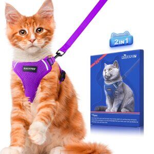 Cat harness with leash